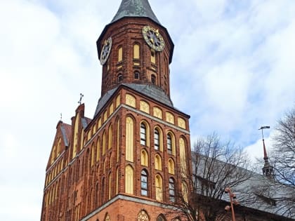 Хомлины, музей кошек и Янтарная пирамида: что посмотреть в Калининградской области