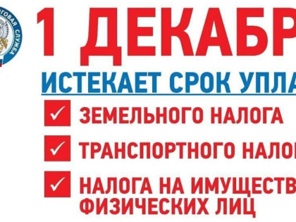Срок оплаты налогов до 1 декабря
