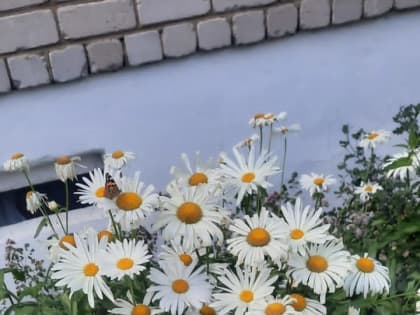 Народные приметы на 24 июля: что можно и чего нельзя делать в этот день