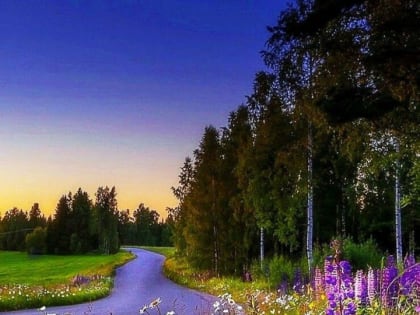 Народные приметы на 25 июня: что можно и чего нельзя делать в этот день