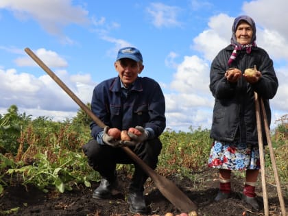 Владимир Кульметьев из Нурлатского района собирает урожай картофеля «деревянными ложками»
