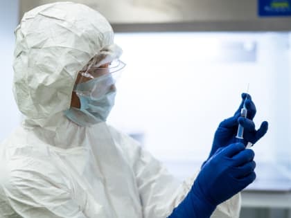 Ученые ВНИИЗЖ зарегистрировали новую вакцину против классической чумы свиней