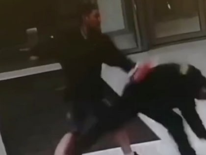 Буйный посетитель ТЦ избил охранника за отказ пропустить его с собакой - видео