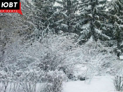 В Татарстане ожидается 24-градусный мороз и гололедица