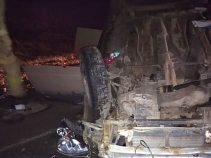 Пассажир легковушки погиб в ДТП из-за выскочившего под колеса кабана на трассе в РТ