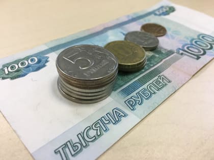 В Татарстане до 16 процентов населения получают зарплату меньше 20 тысяч рублей