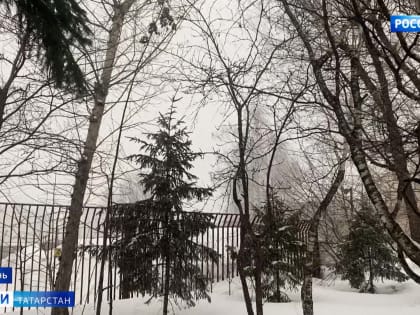 Капризная весна: синоптики рассказали, когда в Татарстан придет тепло