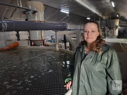 Предприниматель из Елабуги планирует в 5 раз нарастить производство форели
