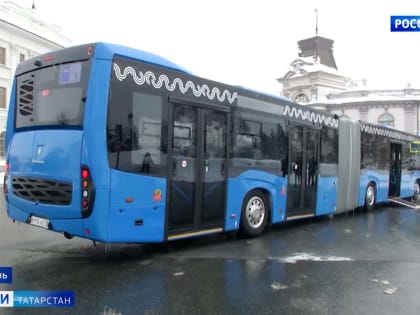 Власти Татарстана выплатят перевозчикам 85,5 млн рублей компенсаций за QR-коды