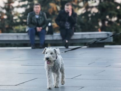 В конце мая температура воздуха в Татарстане окажется ниже климатической нормы