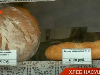 Выход из зерновой сделки: эксперты спрогнозировали, подорожает ли в РТ главный продукт в стране