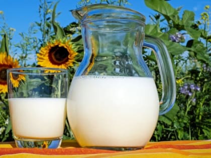 В Татарстане из-за снижения закупочной цены на молоко хозяйства потеряли 205 млн рублей