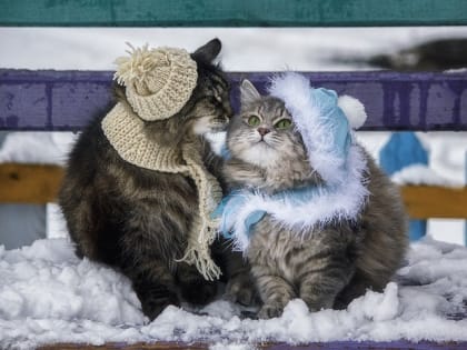 В последний вторник года снегопады и метели продолжат кружить над Татарстаном