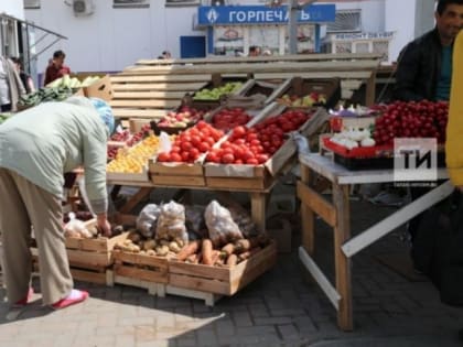 За прошедшую неделю в России подешевели огурцы и помидоры