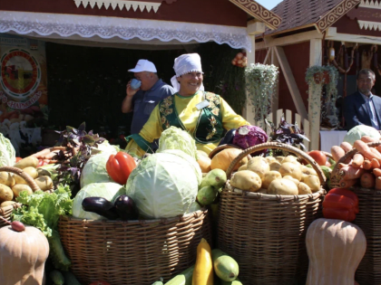 Стало известно, когда в Татарстане начнутся сельхозярмарки