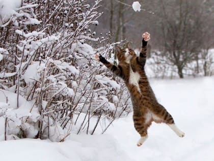 Весенняя погода не придет в Татарстан в середине праздничных выходных