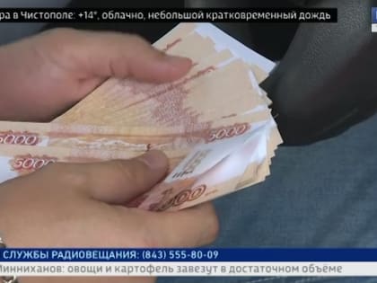 В Татарстане выделили 25 млрд на меры соцподдержки