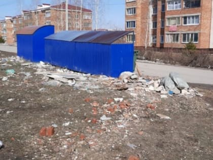 Бавлинцы жалуются на мусор, валяющийся вокруг мусорных контейнеров