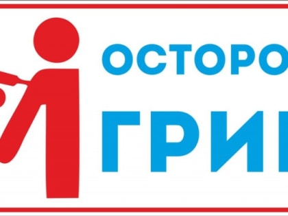 Осторожно: грипп!