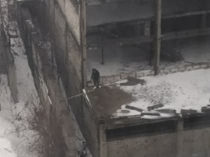 Челнинцы обеспокоены гуляющими по стройке детьми