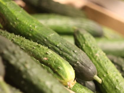 Цены на овощи и фрукты в Татарстане стремительно падают