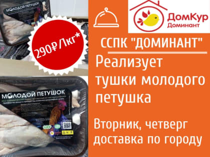 Ещё шестеро менделеевцев пополнили ряды российской армии