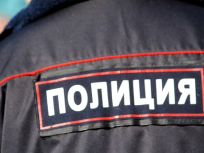 Обратитесь в полицию: мэрия дала совет, что делать с животными на Баумана