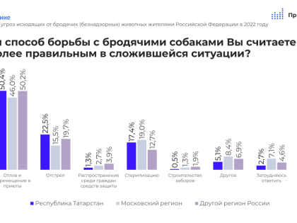 Каждый пятый татарстанец выступает за отстрел бродячих собак