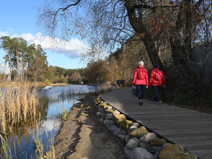 Хайкинг по лесопарку Лебяжье перенесли на следующую неделю