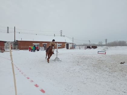 Конный спорт в Менделеевске востребован