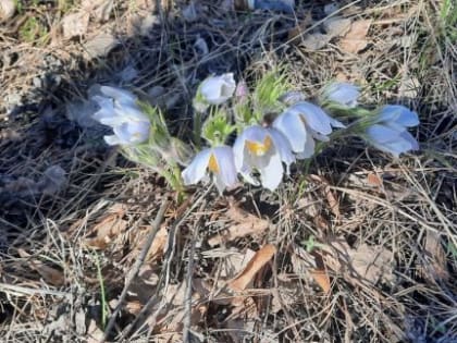 Народные приметы на 23 мая: что можно и чего нельзя делать в этот день