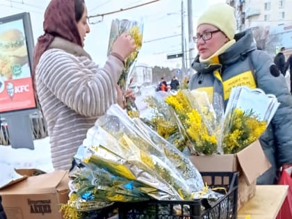 На улицах Казани «зацвели» мимозы