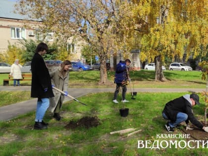 Как сделать двор зеленым и почему нужен полив после дождя: мастер-класс от казанского садовника
