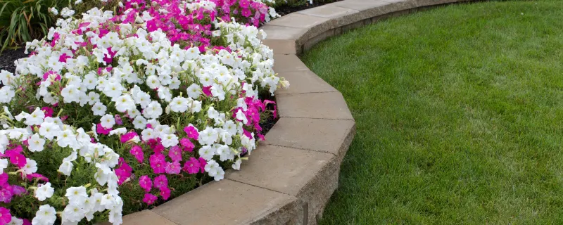 Retain Wall