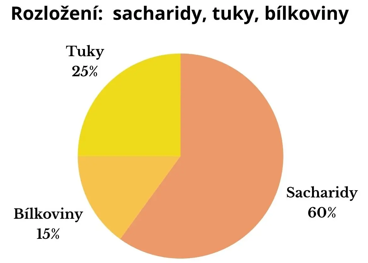 Vyvážené stravování