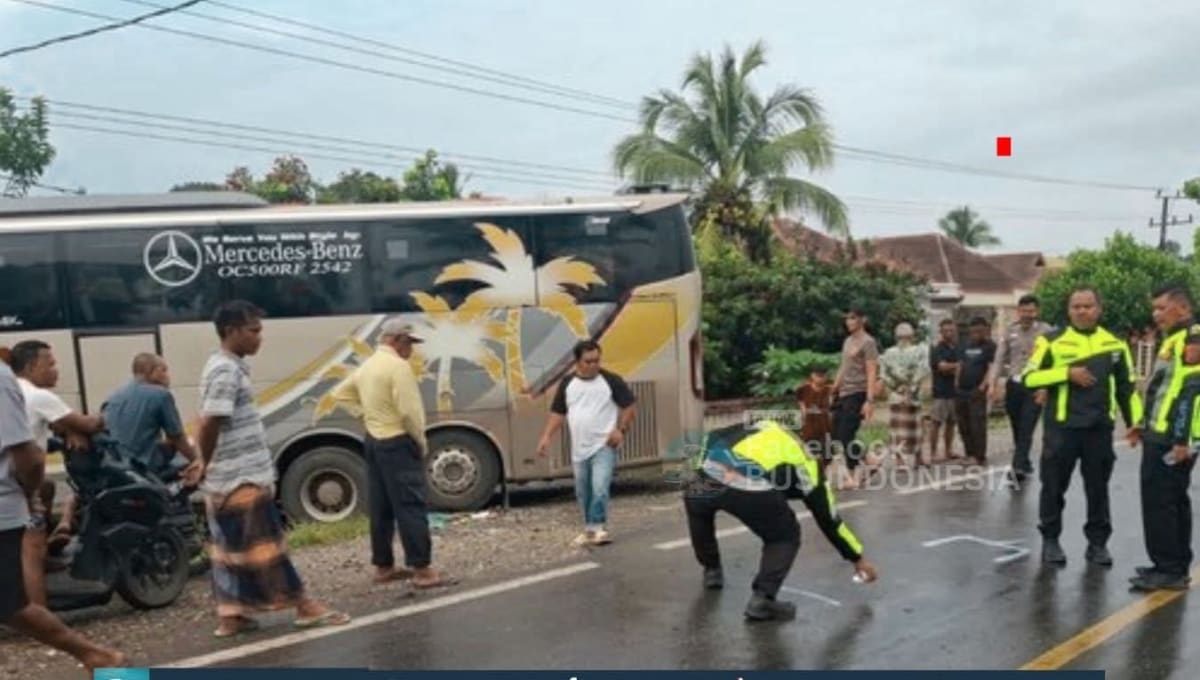 Bus SAN Kecelakaan Di Jalan Lintas Desa Tanjung, Kecamatan Bathin VIII Sarolangun
