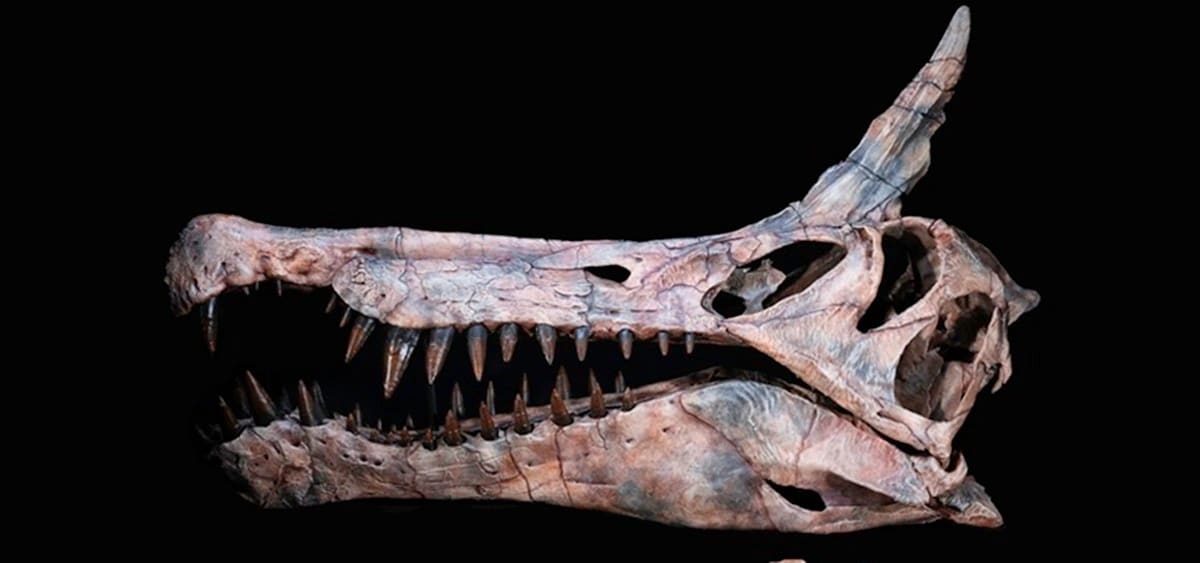 Penemuan Dinosaurus Baru di Gurun Sahara: Sebuah Temuan yang Mengagumkan