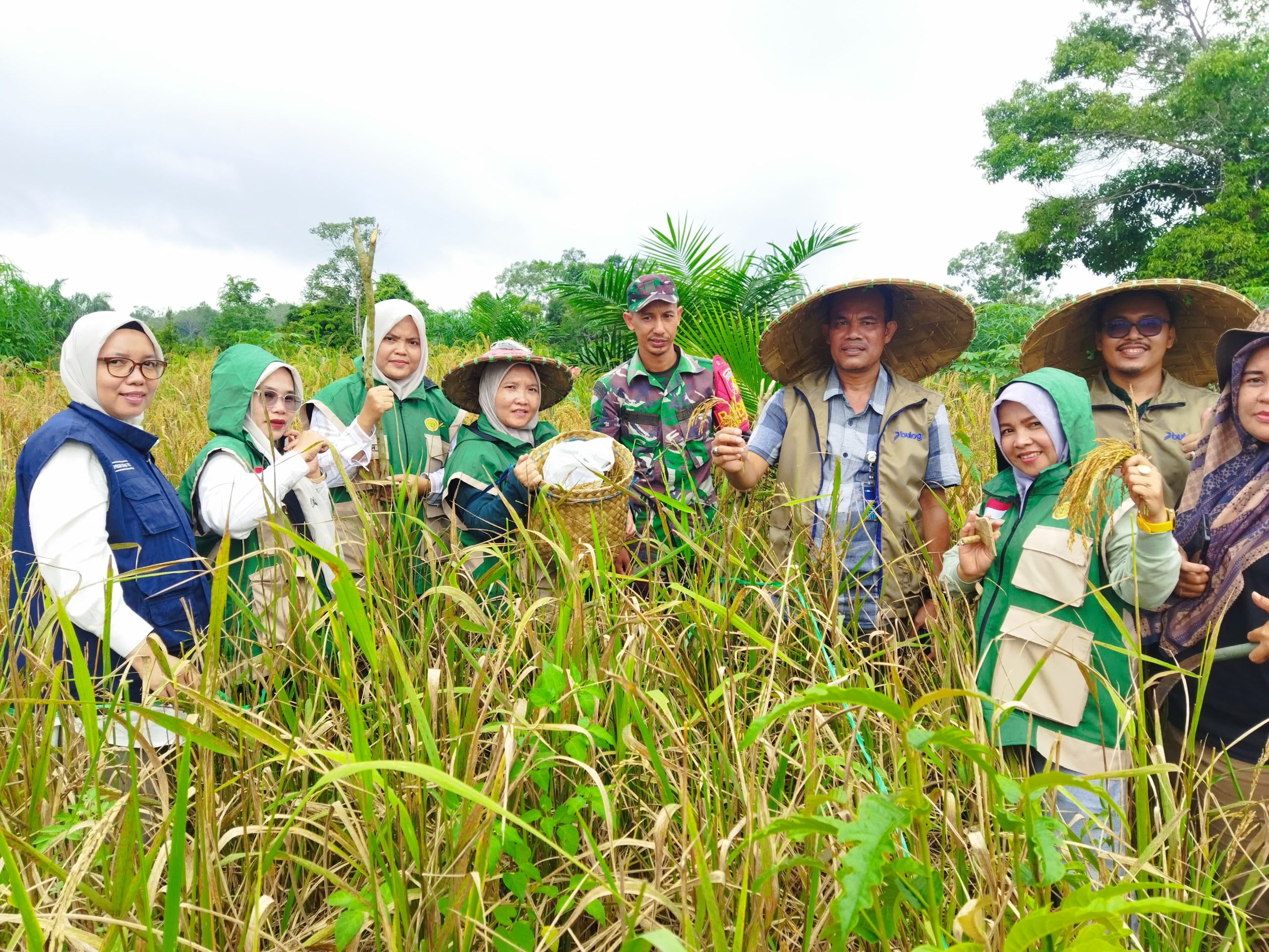 Tahun 2026 Perum Bulog Merangin Siap Membeli Gabah/Beras Petani Sesuai HPP