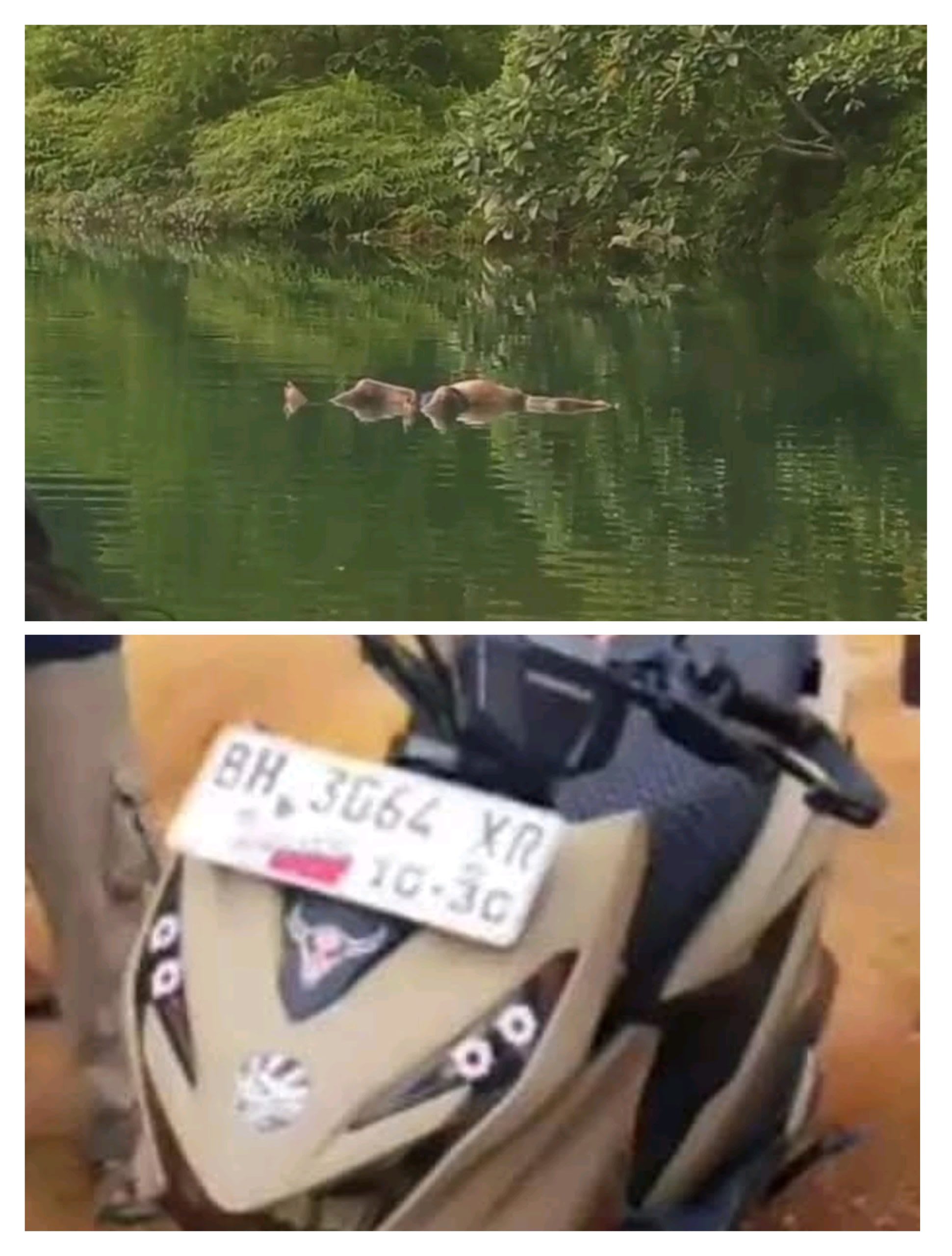 Breaking News…!!! Penemuan Mayat Laki-laki di Danau Biru Kecamatan Batang Masumai kabupaten Merangin Jambi.