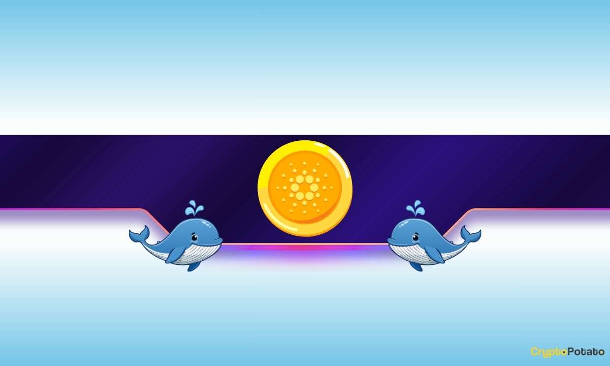 Pembelian Besar-Besaran ADA oleh Pemangku Kepentingan Besar: Apa yang Diharapkan dari Masa Depan Cardano?