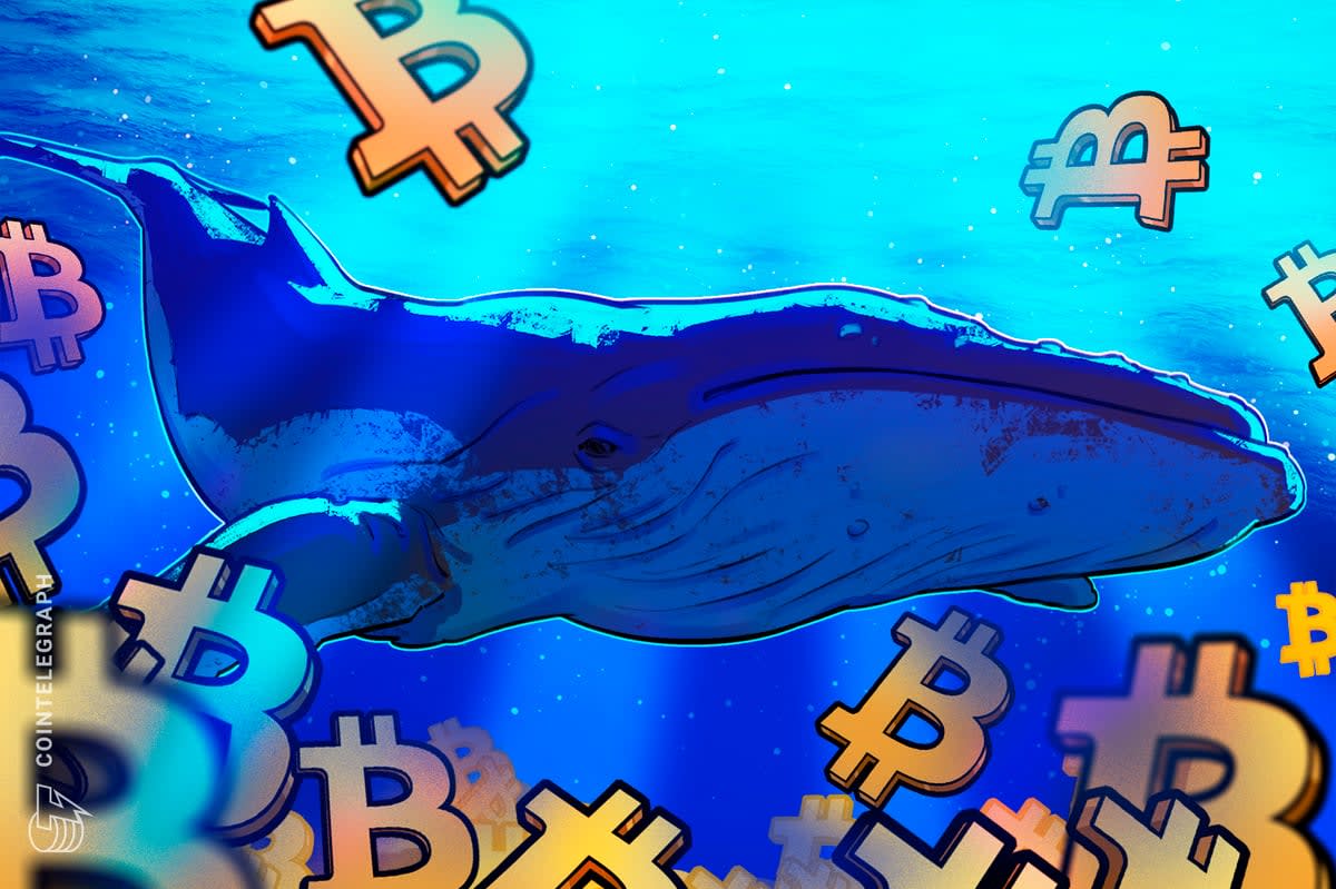 Harga Bitcoin Melompat ke $90.000 karena Aksi Whales yang Agresif