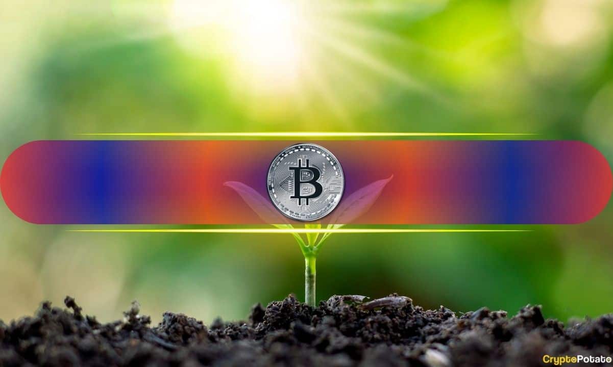 Market Sentiment Shift: Bitcoin Sees $706M Inflow as Investors Abandon Short Positions