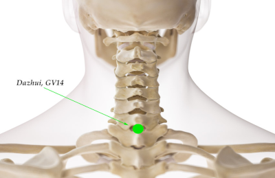 Titik akupuntur Da Zhui