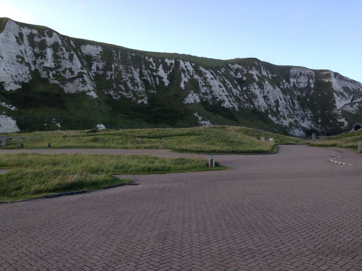 Madder Pearl (Mecyna asinalis) photographed at Samphire Hoe by Dave Grundy