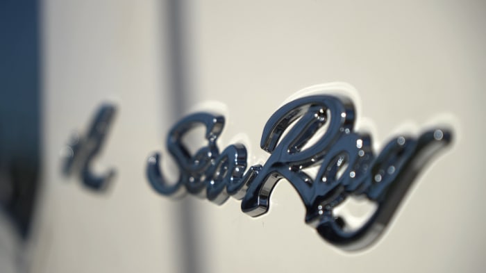 Sea Ray chrome badge after marine detailing Tampa Bay