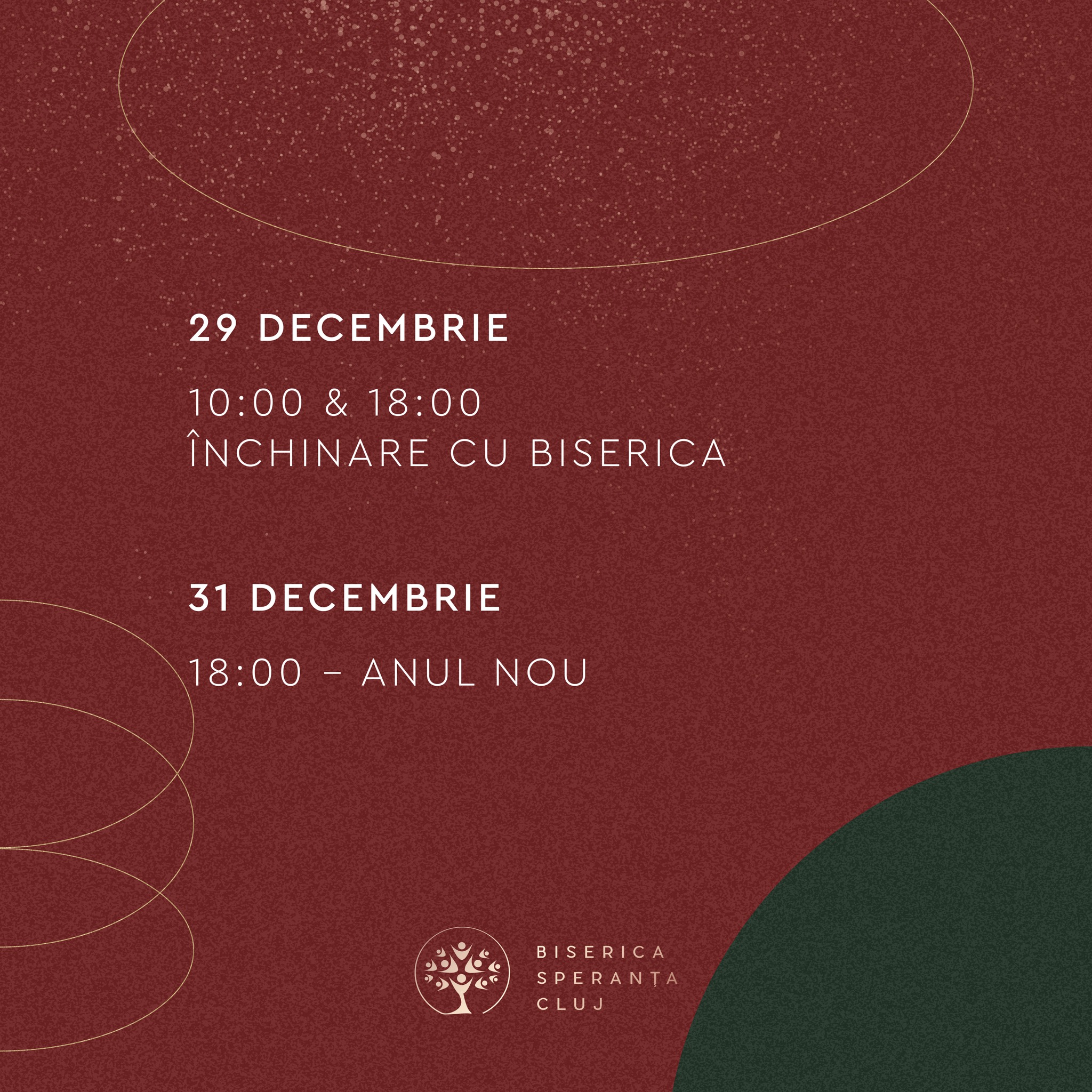 Anul Nou la Speranta Cluj