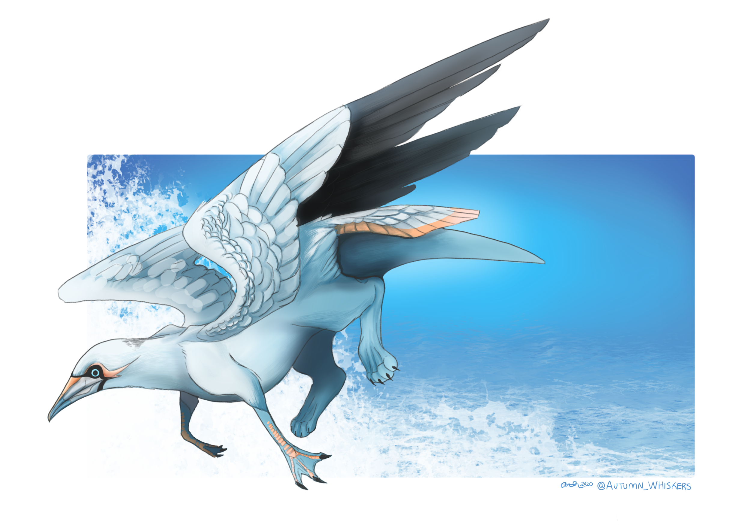 Gannet Griffon