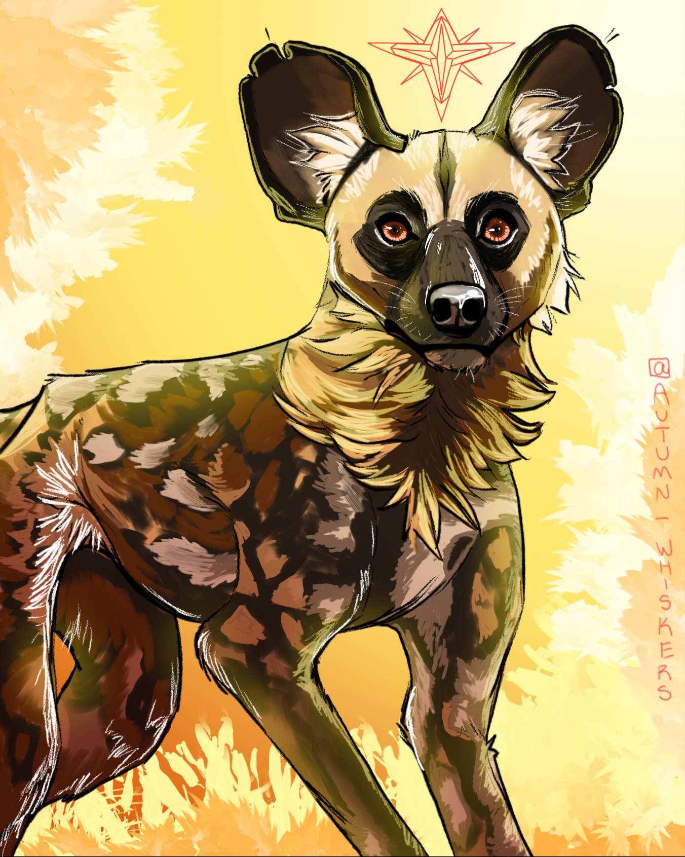 African Wild Dog (Day) - 2020