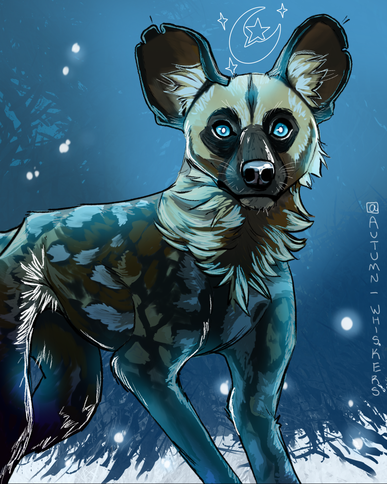 African Wild Dog Night - 2020
