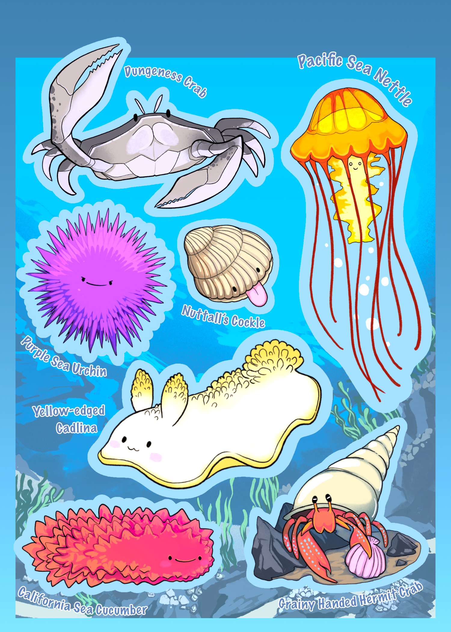 Salish Sea Invertebrates - 2025